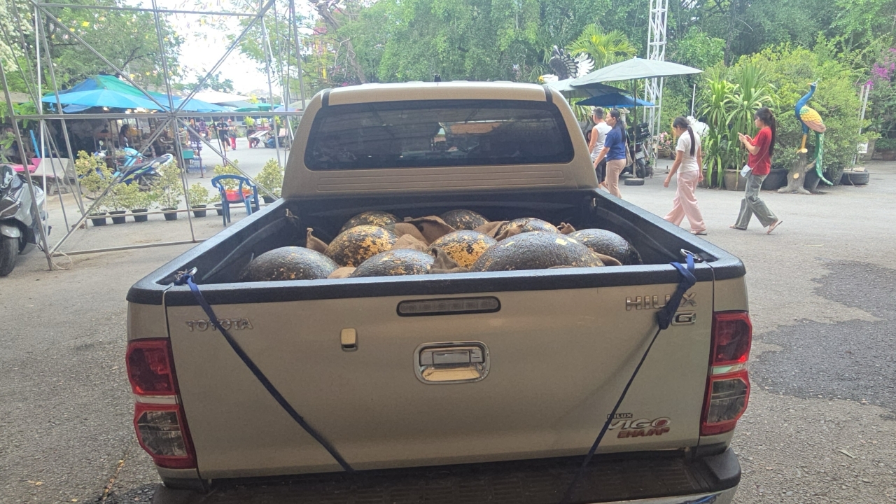 แห่ส่องทะเบียนรถ รับลูกนิมิตงานปิดทองวัดสว่างฯ เสี่ยงโชค งวด 1/4/69