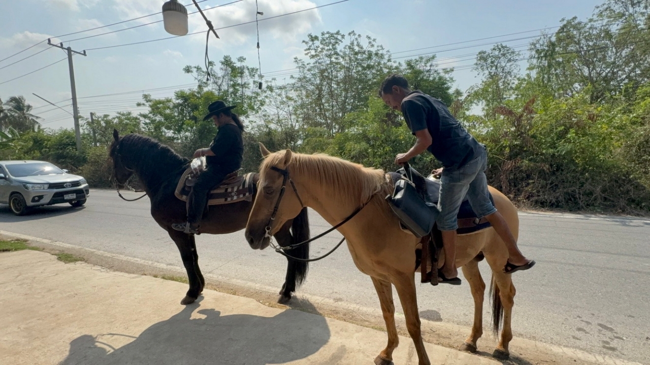 อาจารย์สักยันต์ ควบม้าแบกแกลลอน หาซื้อน้ำมันเติมรถยนต์ เครื่องตัดหญ้า