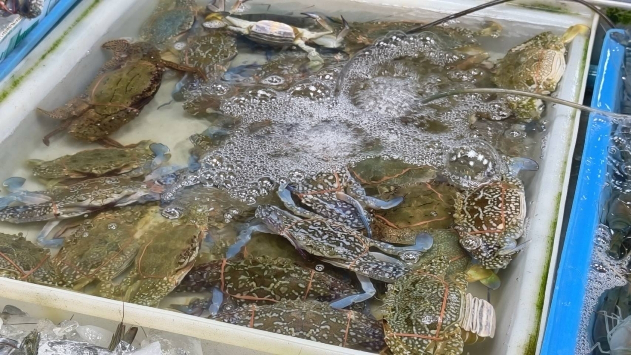 วิกฤตน้ำมันกระทบหนัก ผู้ประกอบการอาหารทะเลแสมสารอ่วม ปูม้าพุ่งกก.ละ 850 บาท