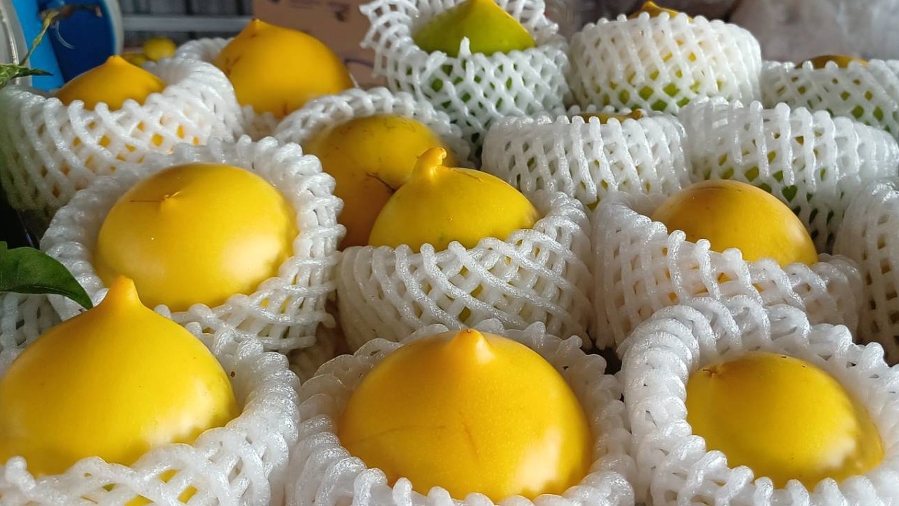 "เอบิว" ผลไม้ดาวรุ่ง กำลังได้รับความนิยมในตลาด ช่วยสร้างรายได้เพิ่มให้ชุมชน