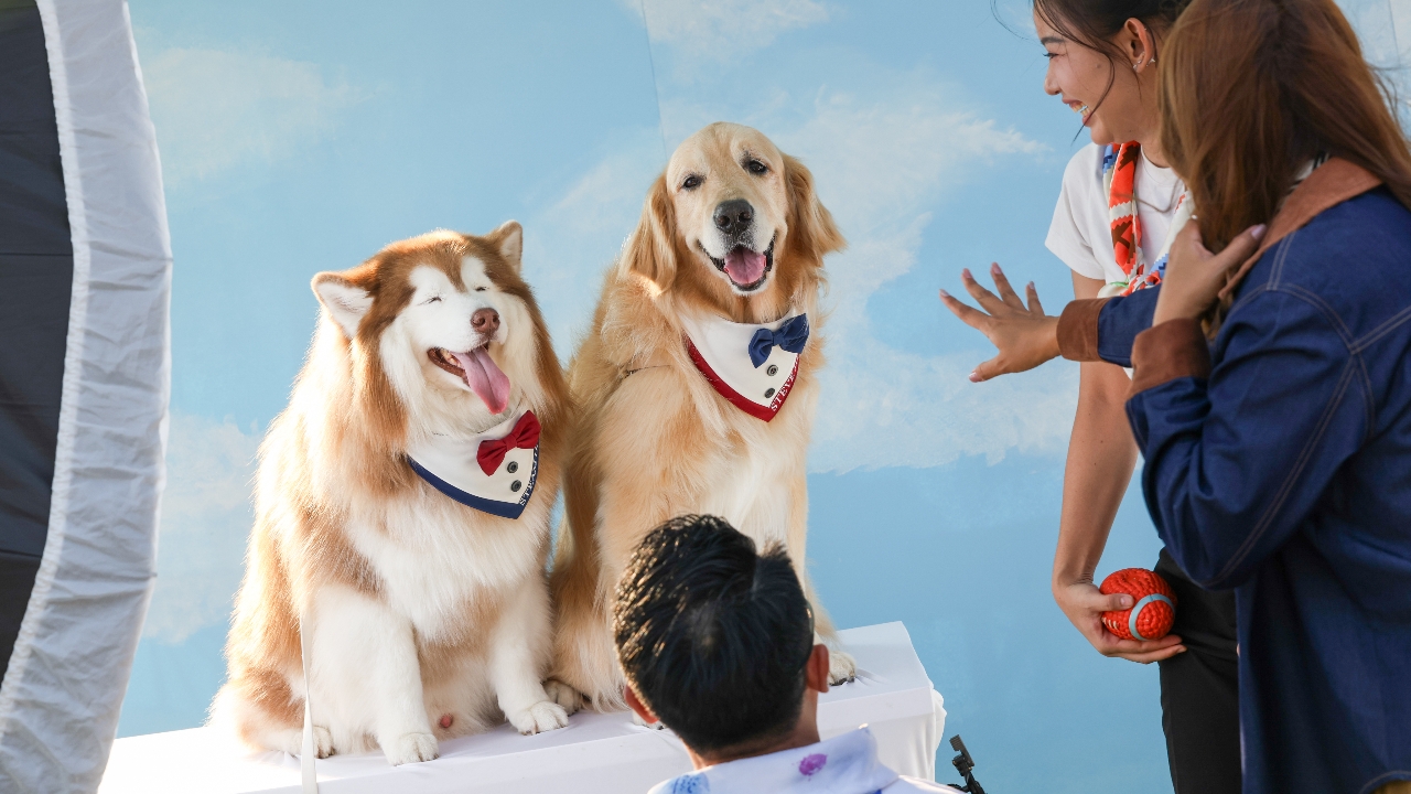 Sansiri BIGNIC: A Global Picnic Phenomenon Transforms Bangkok-Kritha into a Warm Living Room