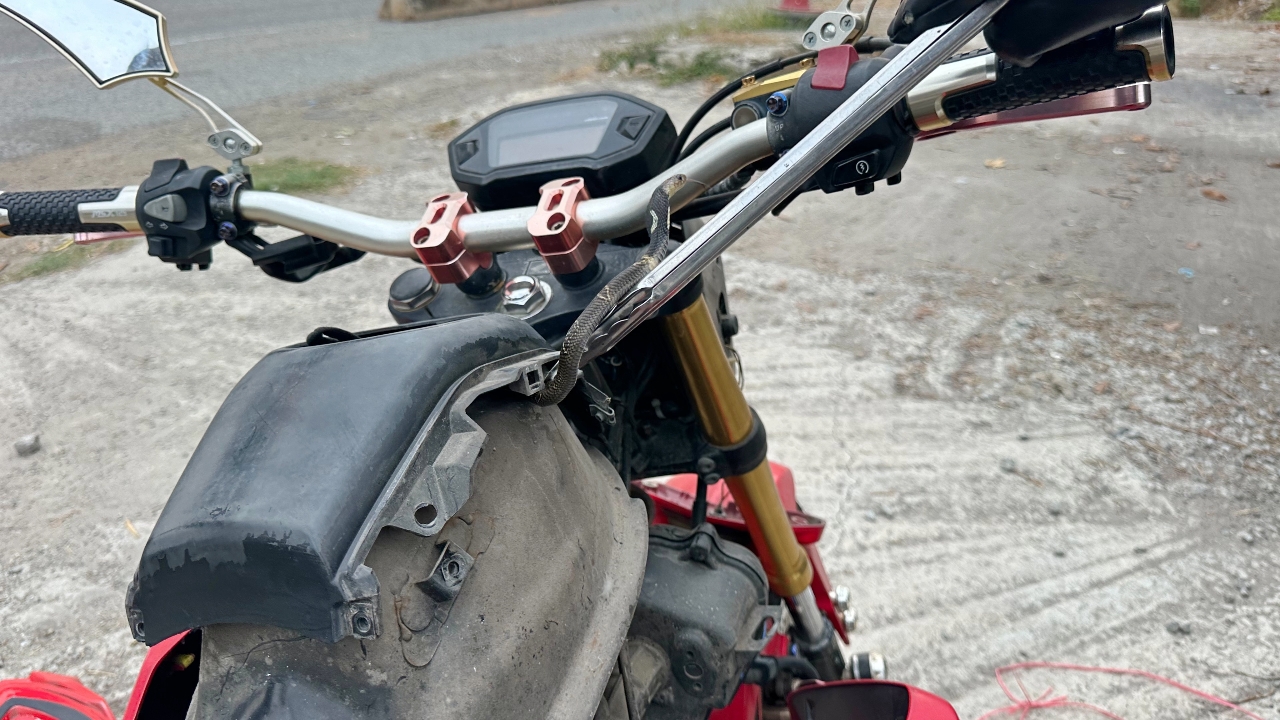 ส่องเลขเด็ด สาวตกใจเกือบขิต ลูกงูเห่าเลื้อยพันมือระหว่างขี่มอเตอร์ไซค์ไปทำงาน