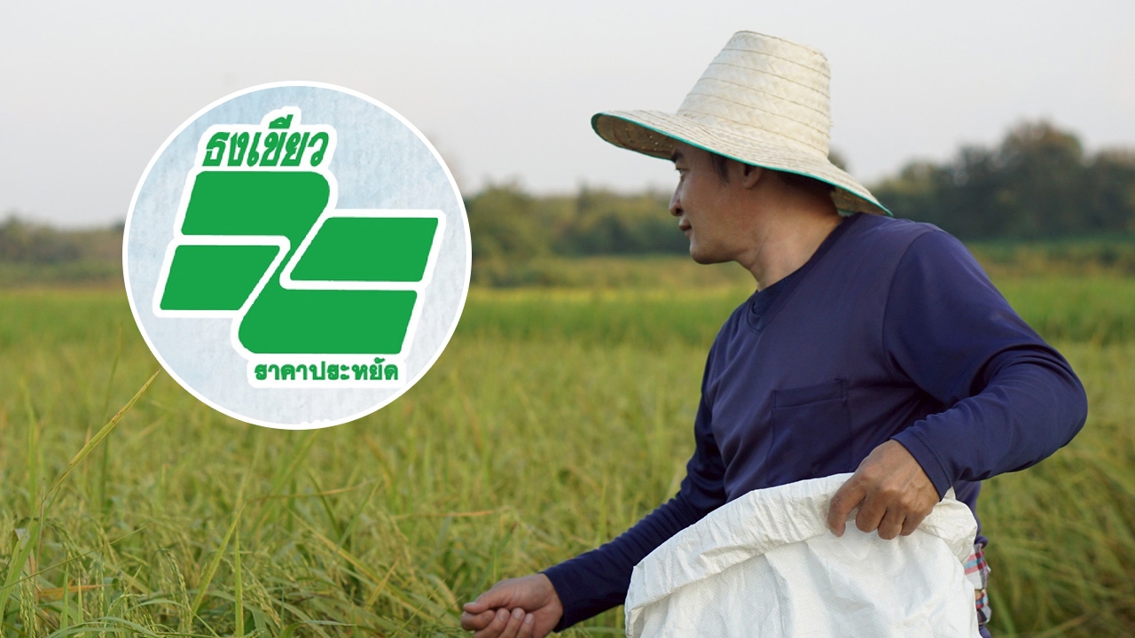 รู้จัก "โครงการธงเขียว" ช่วยเกษตรกรได้ปุ๋ยถูก ลดต้นทุนการผลิต 