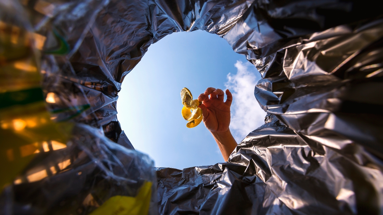 เริ่มวันนี้ "วิธีแยกขยะในครัวเรือน" ฉบับทำเองง่ายๆ เปลี่ยนขยะให้เป็นเงินและบุญ