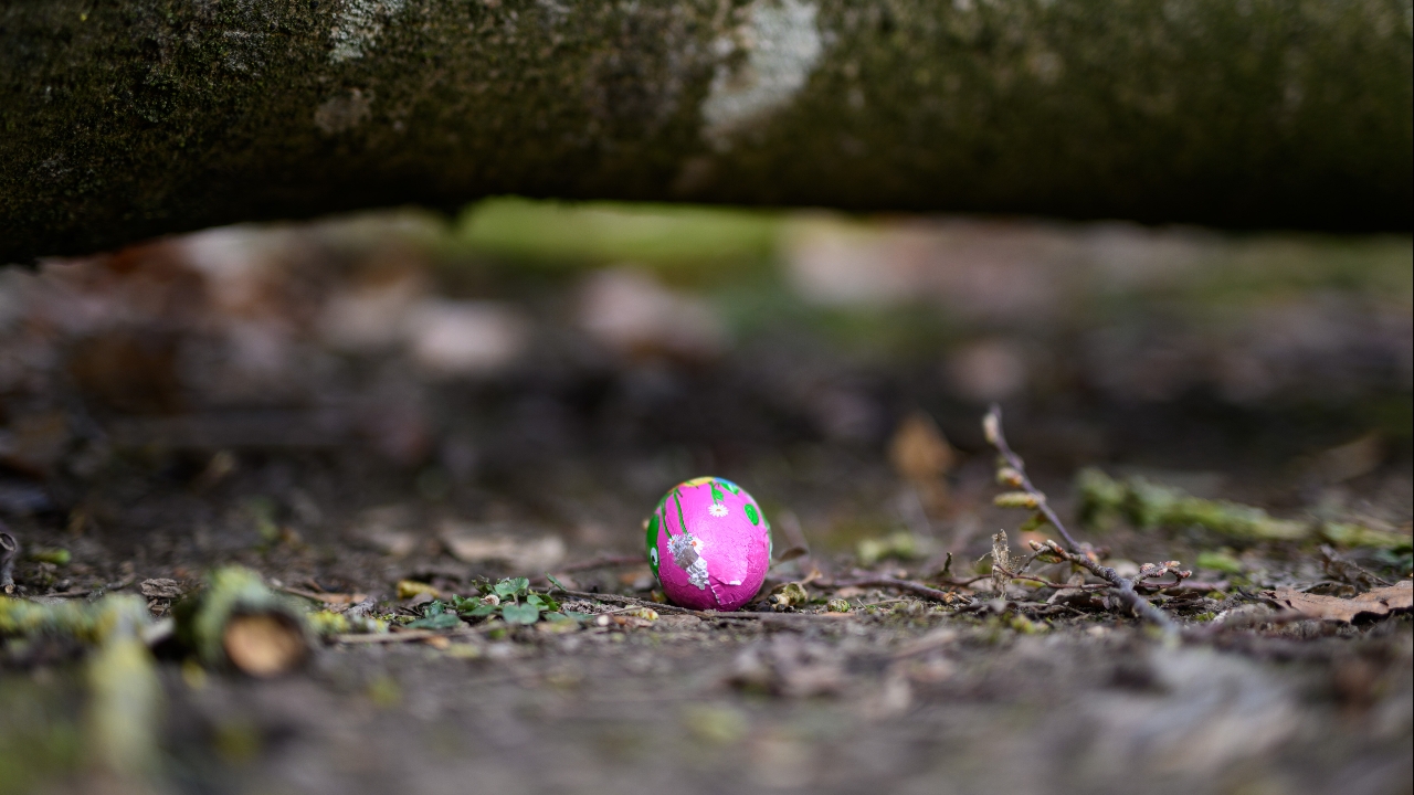 สลดอีสเตอร์! พายุถล่มเยอรมนี ต้นไม้ยักษ์โค่นทับวงล่าไข่ ดับ 3 ศพ รวมทารก 10 เดือน