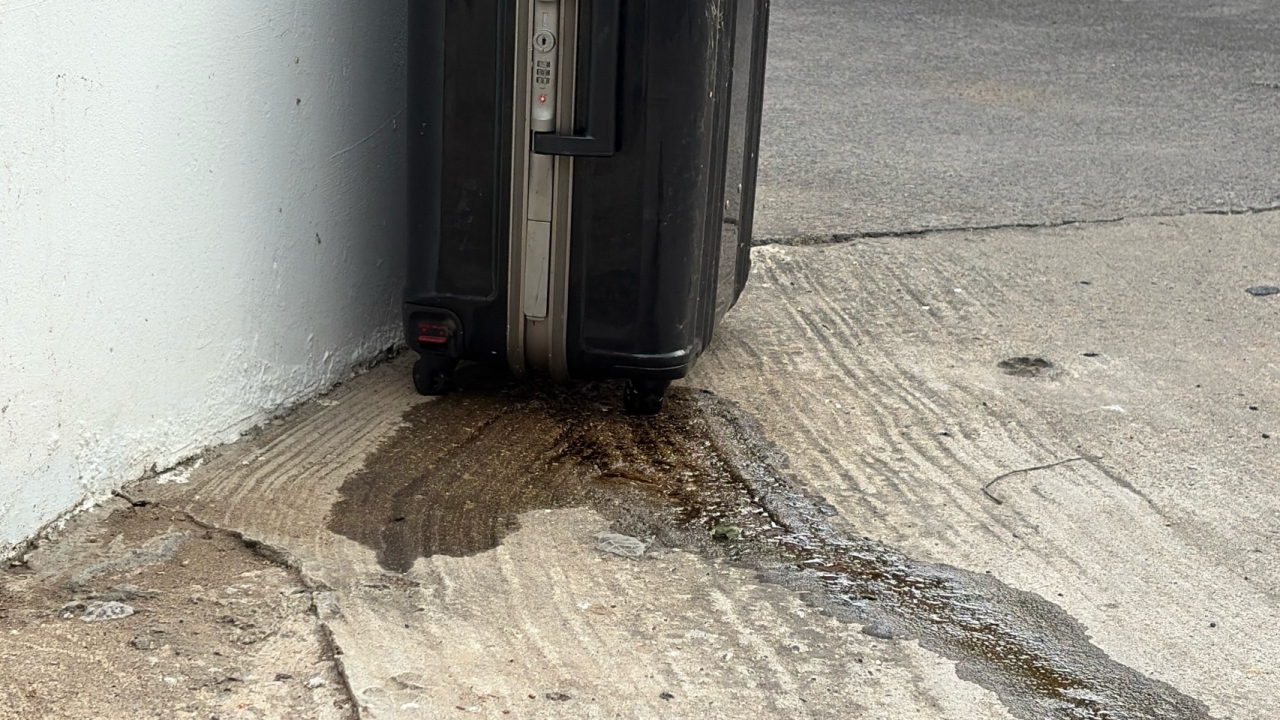 ผวา กระเป๋าปริศนาถูกทิ้งกลางซอย ส่งกลิ่นเหม็น หนอนยั้วเยี้ย เปิดได้ถึงกับวงแตก