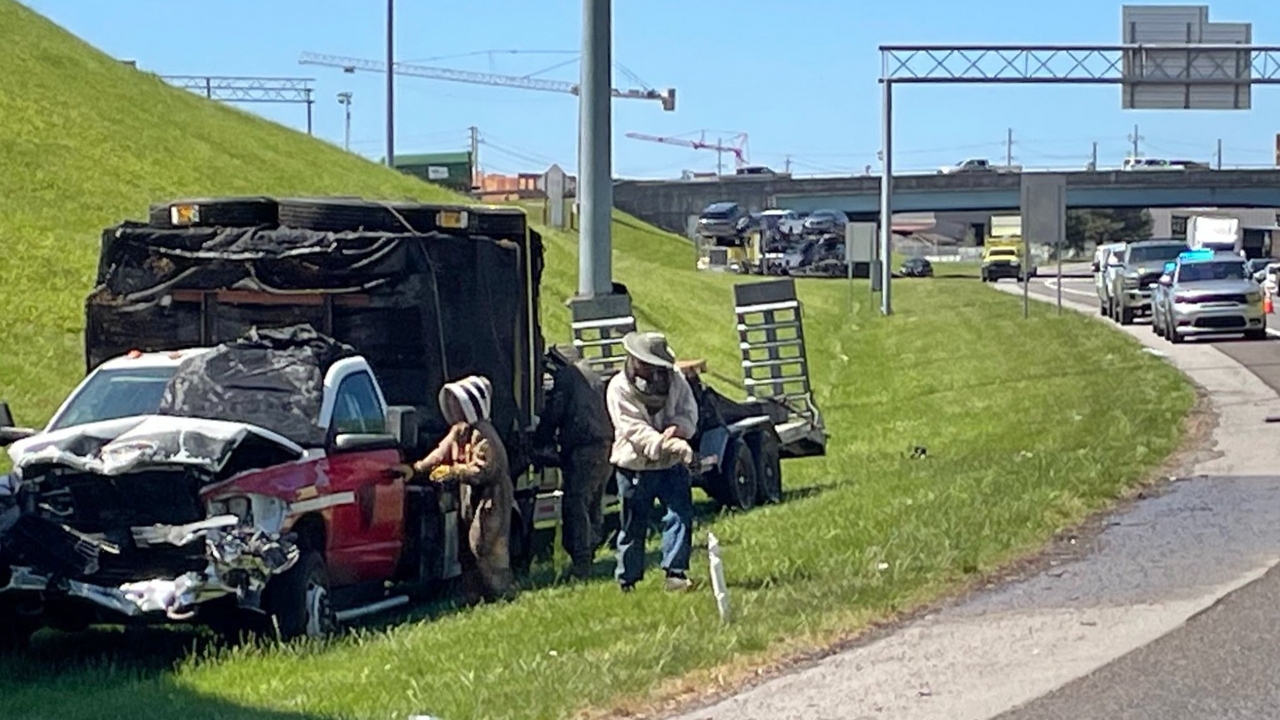  ผึ้งนับล้านบุกทางด่วนสหรัฐฯ หลังรถบรรทุกคนเลี้ยงผึ้งพลิกคว่ำ ต้องปิดทางชั่วคราวในรัฐเทนเนสซี