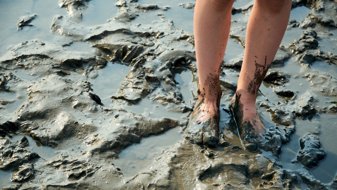 เตือนระวัง "โรคไข้ดิน" 4 จังหวัดอีสานล่างป่วยสะสม 129 ราย สูงสุดอยู่ที่ "บุรีรัมย์"