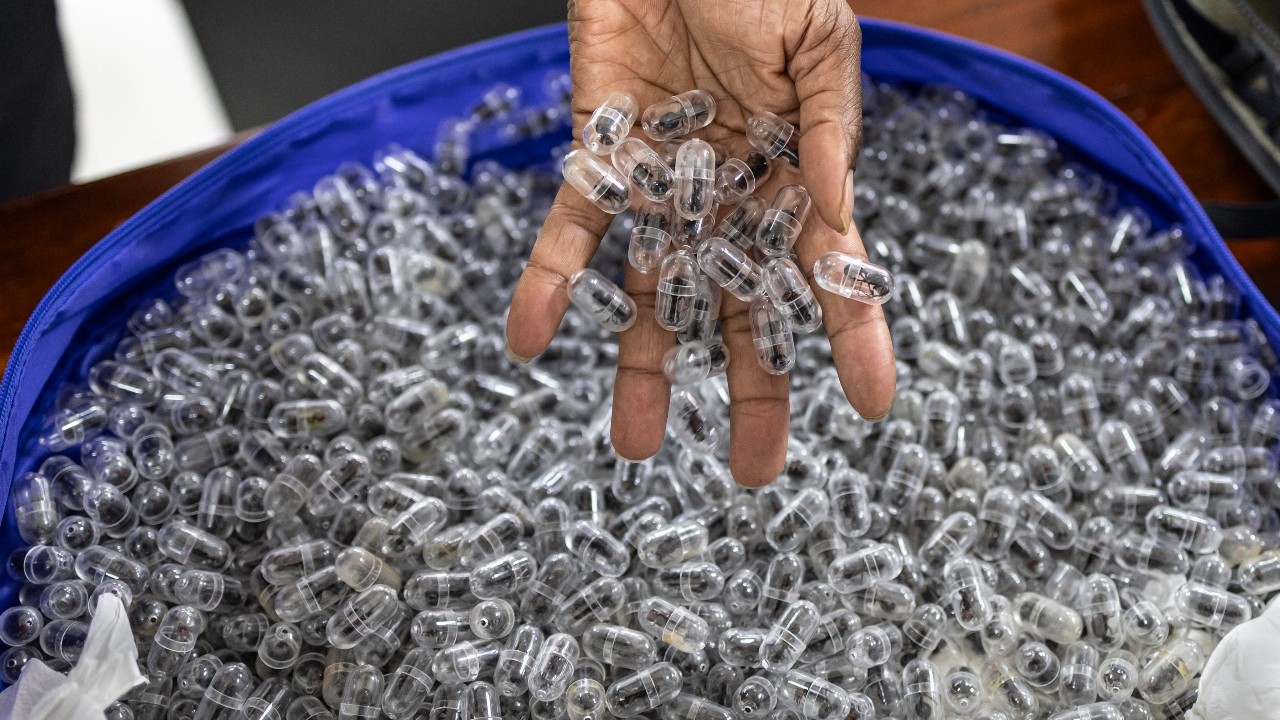 เคนยาตัดสินจำคุกหนุ่มจีน 1 ปี ลอบขนมดราชินีกว่า 2,000 ตัว ส่งขายตลาดมืดต่างประเทศ