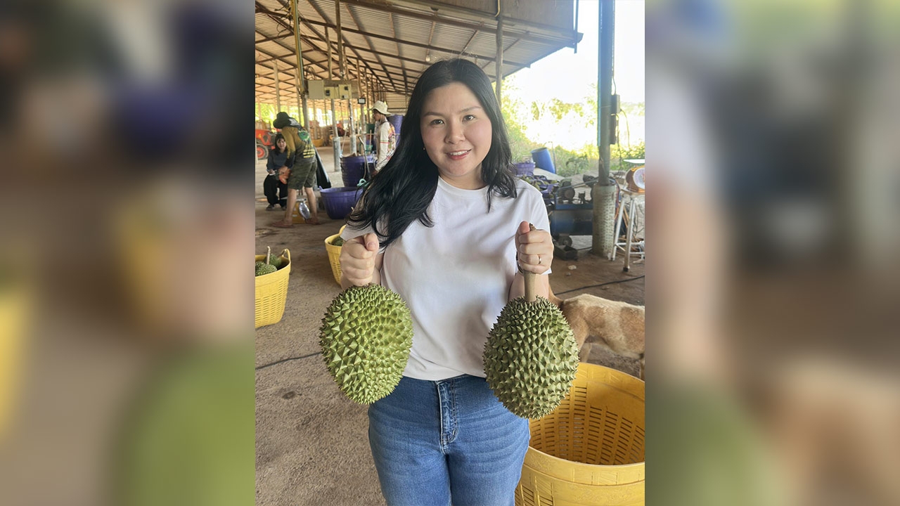 เด็กพรรคส้มเหน็บ “ศุภจี” จ่อขายทุเรียนลูกละ 100 ช่วยชาวสวนหรือสร้างคอนเทนต์การเมือง