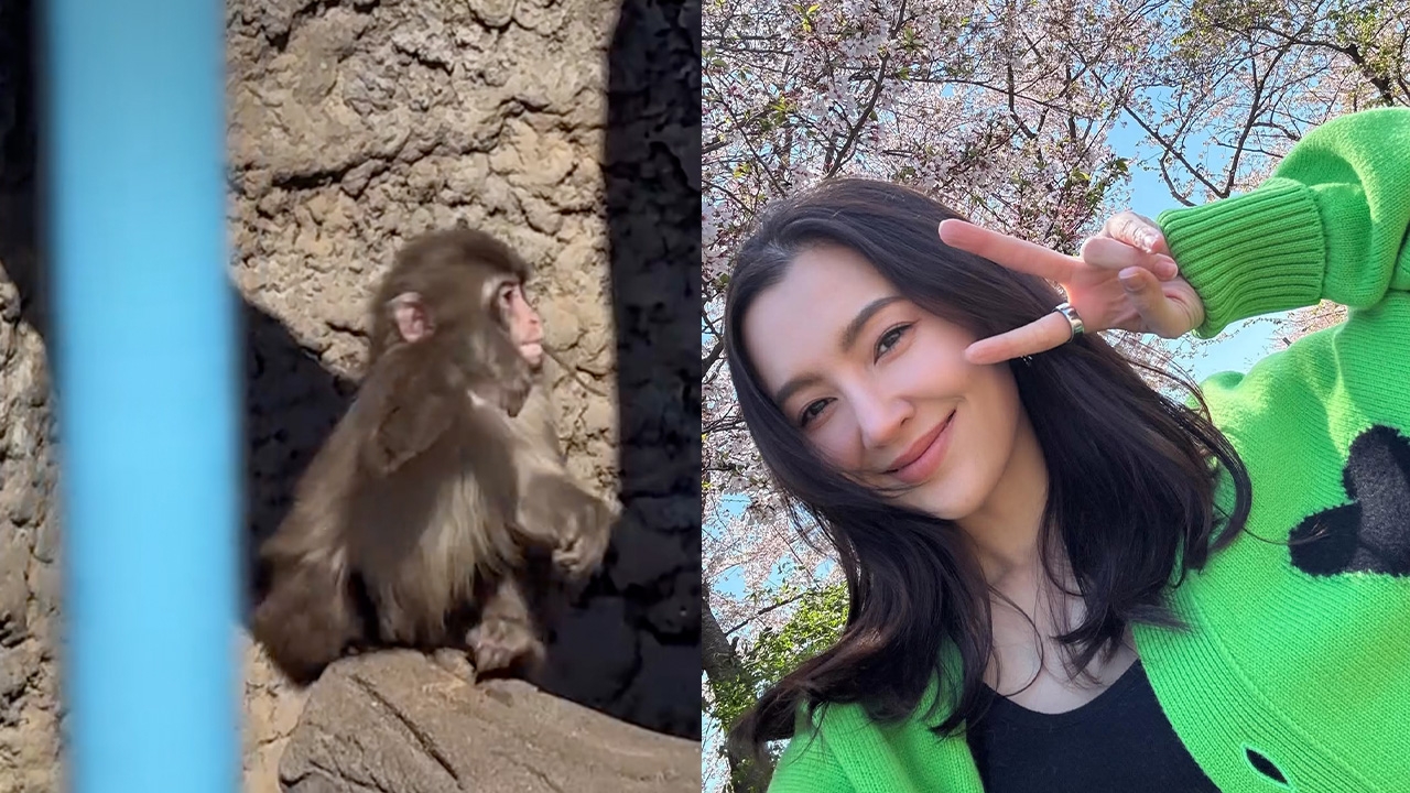 เบลล่า ราณี เผยโมเมนต์ไปเจอ น้องพันช์คุง แต่กลับเจอคนแซะใช้เสียง 2 เสียง 3 (คลิป)