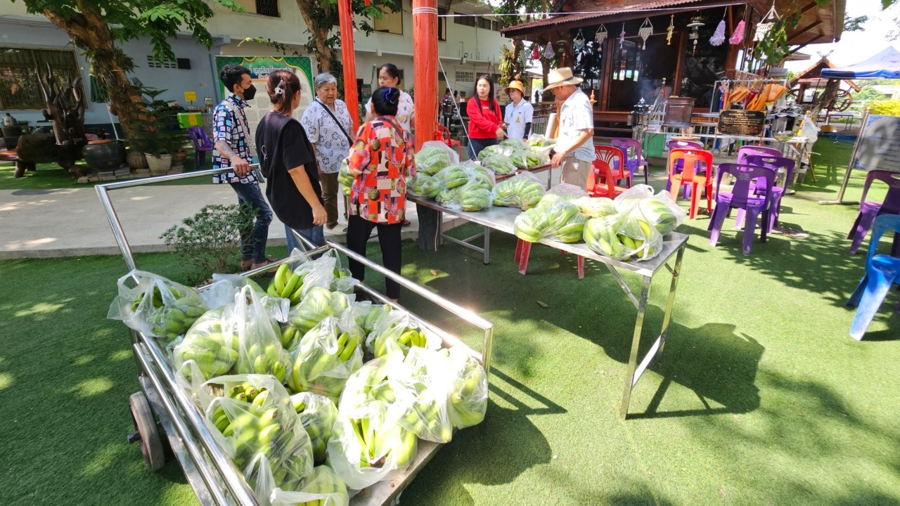 วัดท่าผา จ.ราชบุรี แจกจ่าย "กล้วยหอมทอง" ให้กับผู้ร่วมทำบุญ แถมได้เลขเด็ดลุ้นโชค