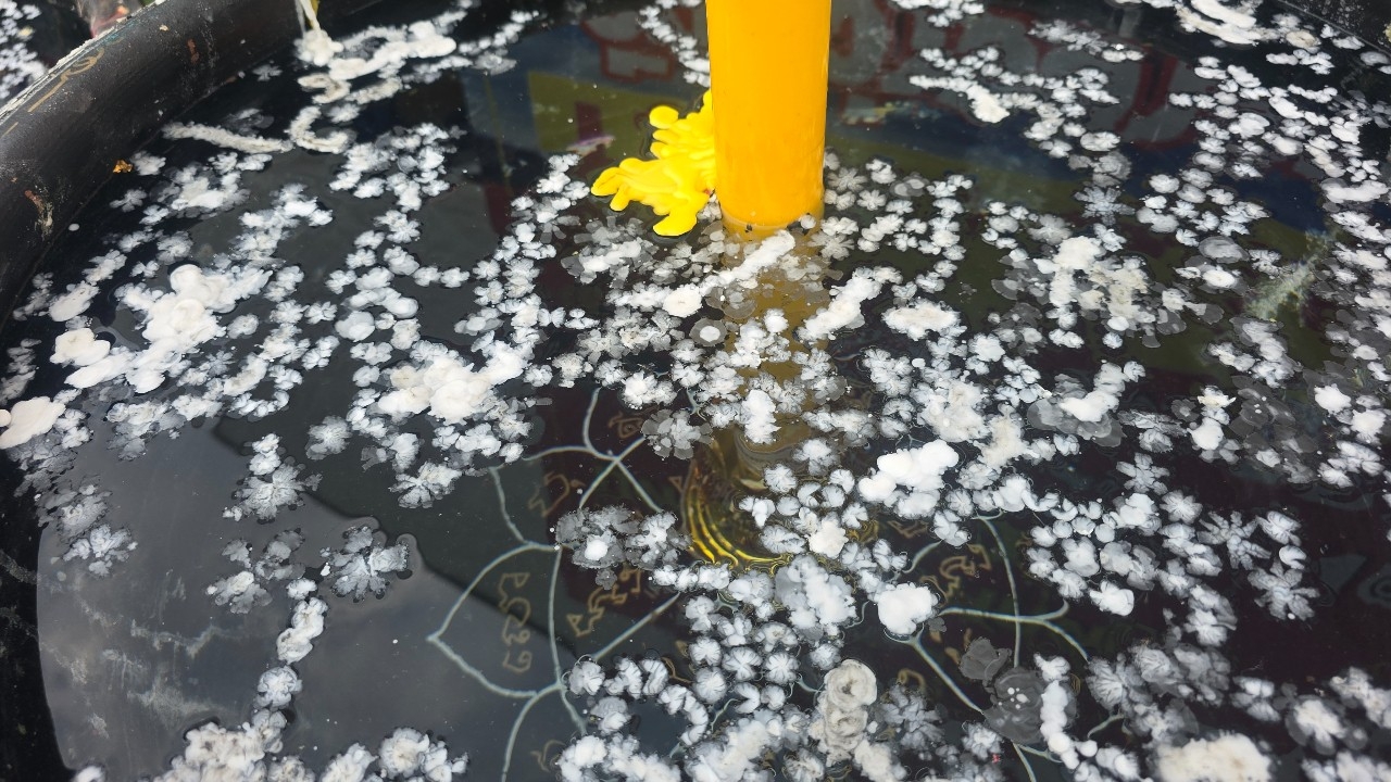 คอหวยส่อง “เลขเด็ด” อ่างน้ำมนต์วัดดัง ปิดงานลูกนิมิต 9 วัด 99 ลูก