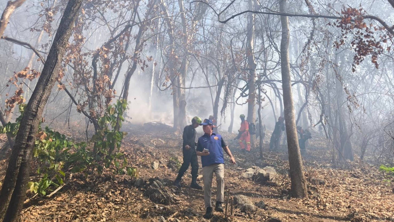 ผู้ว่าฯ โคราช สั่งเร่งคุม "ไฟป่าเขานกยูง" อ.ปากช่อง หลังไฟไหม้ป่ากว่า 500 ไร่