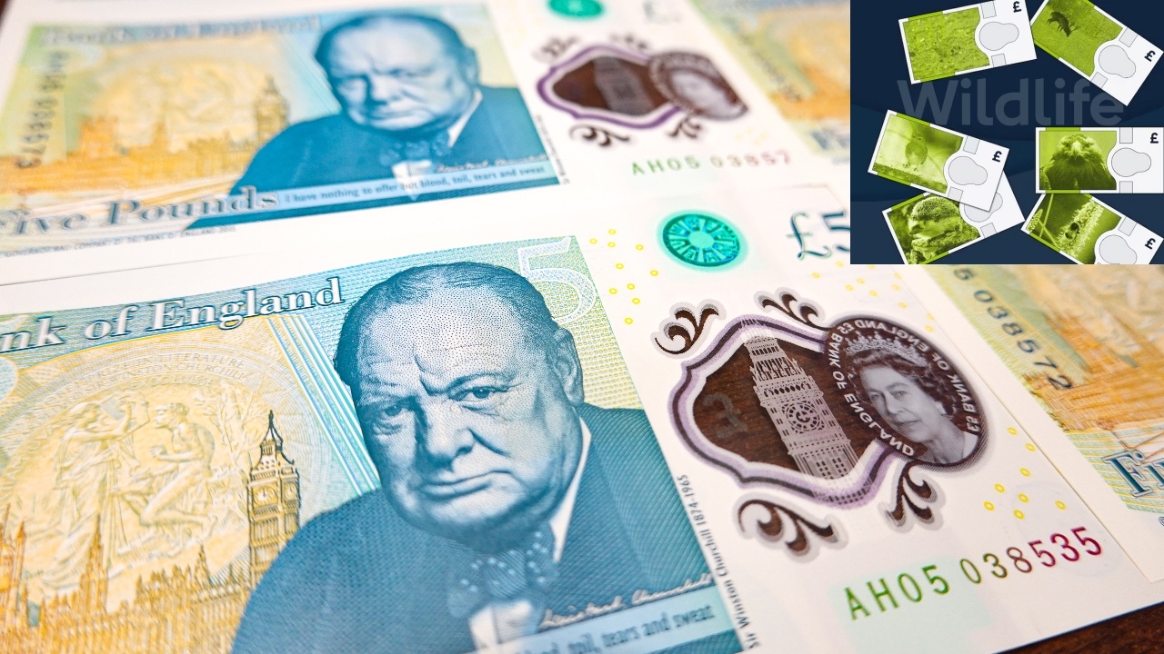 แบงก์ชาติอังกฤษเตรียมใช้ภาพ "สัตว์ป่า" แทนรูปบุคคลสำคัญ บนธนบัตรรุ่นใหม่