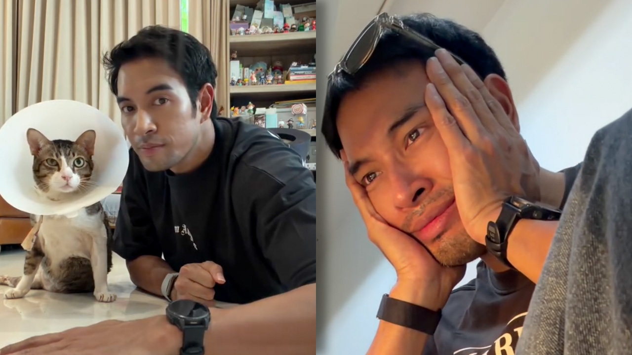 เกรท วรินทร น้ำตาซึม น้องไข่ตุ๋น ตรวจพบลิวคีเมียไวรัส เป็นมะเร็งต่อมน้ำเหลือง (คลิป)