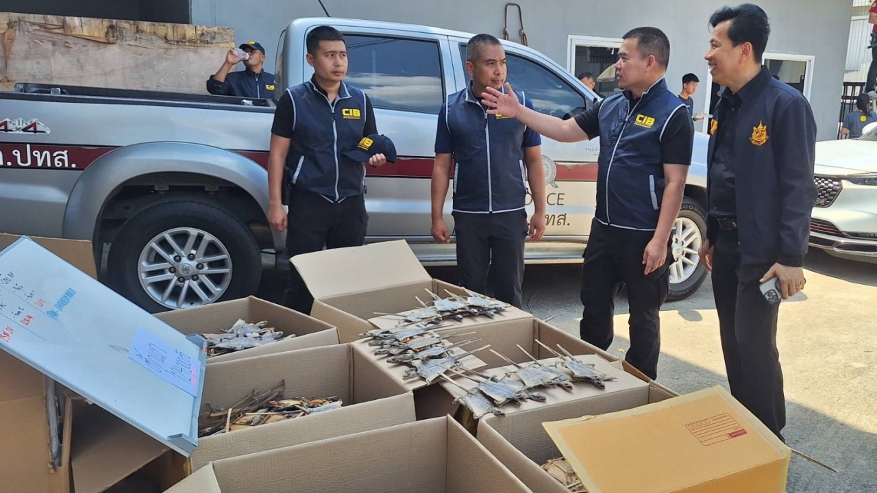 บุกโกดังลำลูกกา ยึดซากตุ๊กแกกว่า 1.2 แสนตัว ไม้หวงห้าม เตรียมส่งไปจีน