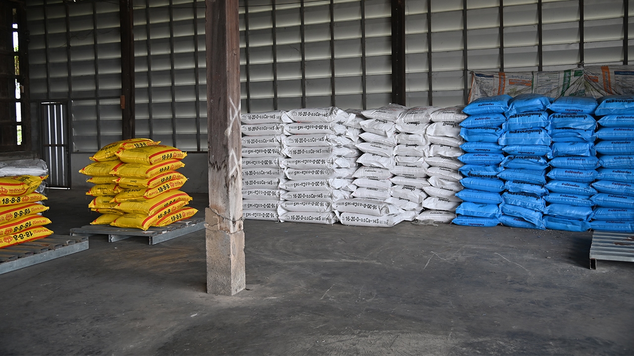 พาณิชย์ ขู่ฟันฉวยโอกาสขึ้นราคาปุ๋ยโทษหนัก ยันสต็อกปุ๋ยไทยมีพอใช้ถึงกลางปี 69