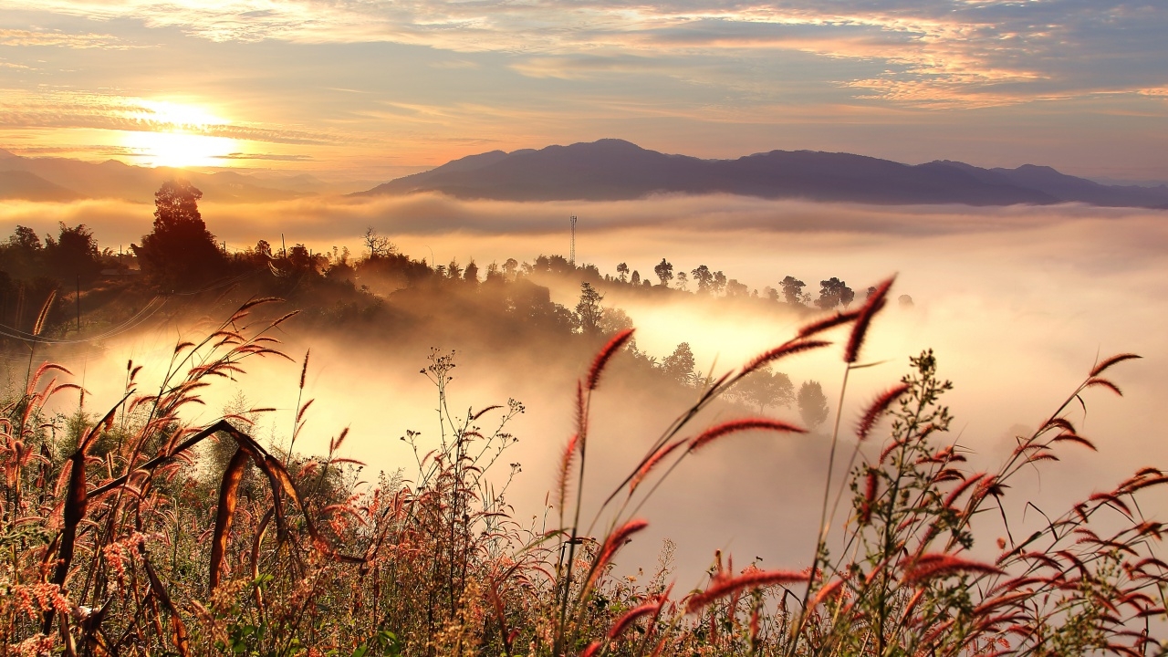 อุตุฯ เผย 8 - 9 ก.พ. มวลอากาศเย็นระลอกใหม่แผ่ปกคลุม ฝนตกหลายพื้นที่ ก่อนอุณหภูมิลด