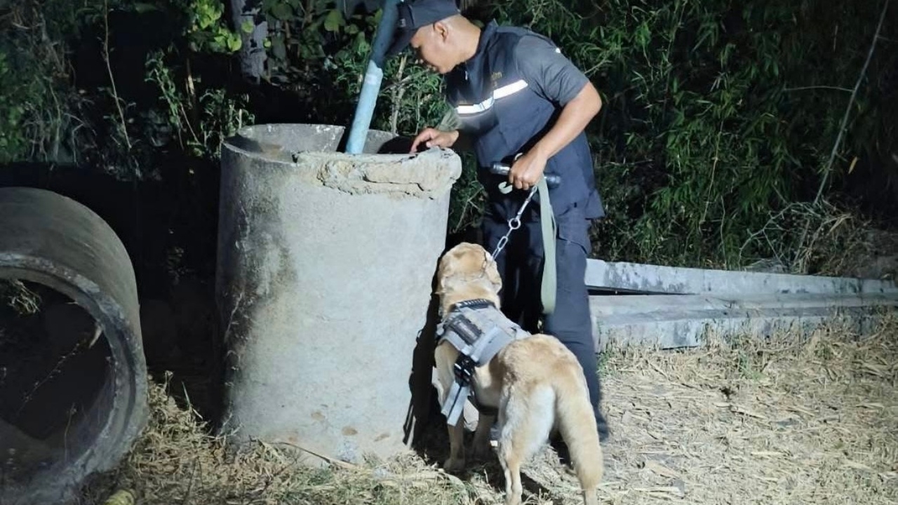 "สุนัขตำรวจ" ช่วยเจ้าหน้าที่จับพ่อค้ายาเสพติด 3 พี่น้อง ซุกยาบ้า 2.9 หมื่นเม็ด