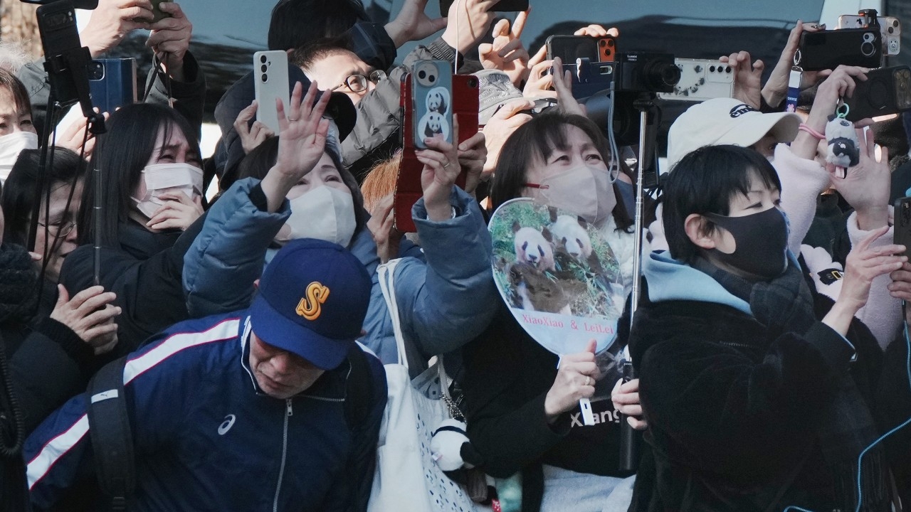 แพนด้าคู่สุดท้ายอำลาญี่ปุ่น เดินทางกลับจีน หลังความสัมพันธ์ตึงเครียด