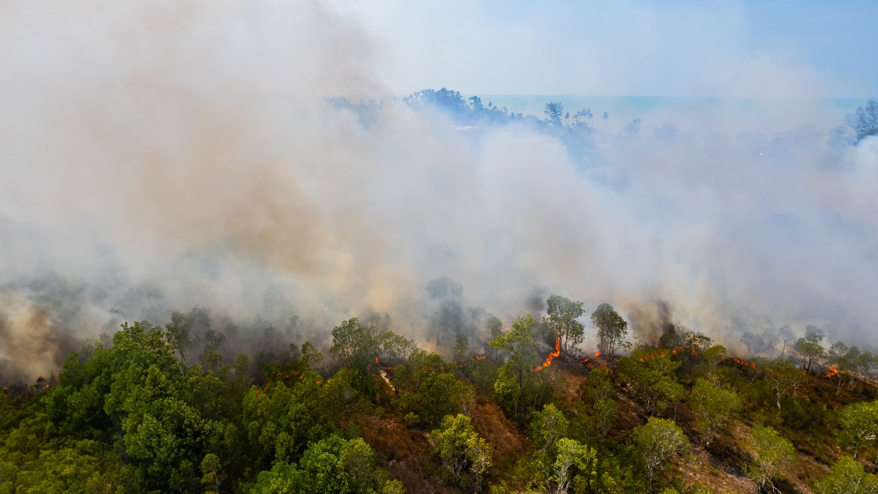 รัฐบาล คุมเข้มพวกเผา ขู่โทษหนักปรับ-จำคุก สูง 20 ปี ปรับ 2 ล้านบาท