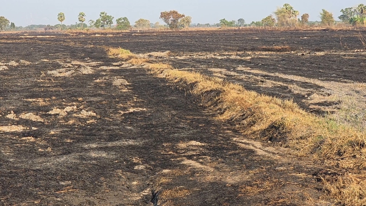 ไฟลามทุ่งนครนายก ดับแล้ว 100% เพิ่มรางวัลนำจับมือเผาเป็น 5 หมื่นบาท