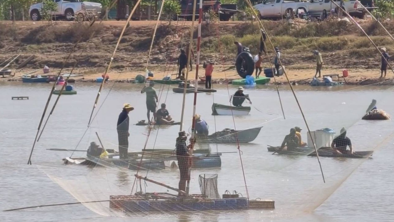 เซียนแหนับร้อยแห่ซื้อบัตรลงแขก "จับปลา" แบบวิถีพื้นบ้าน สร้างรายได้สู่ชุมชน