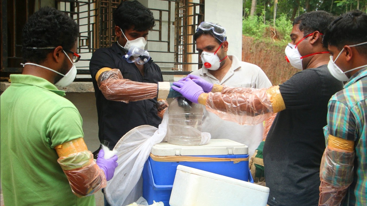 อินเดียยืนยัน พบผู้ป่วย "ไวรัสนิปาห์" แค่ 2 ราย ในรัฐเบงกอลตต. คุมสถานการณ์ได้ ยังไม่พบระบาดเพิ่ม