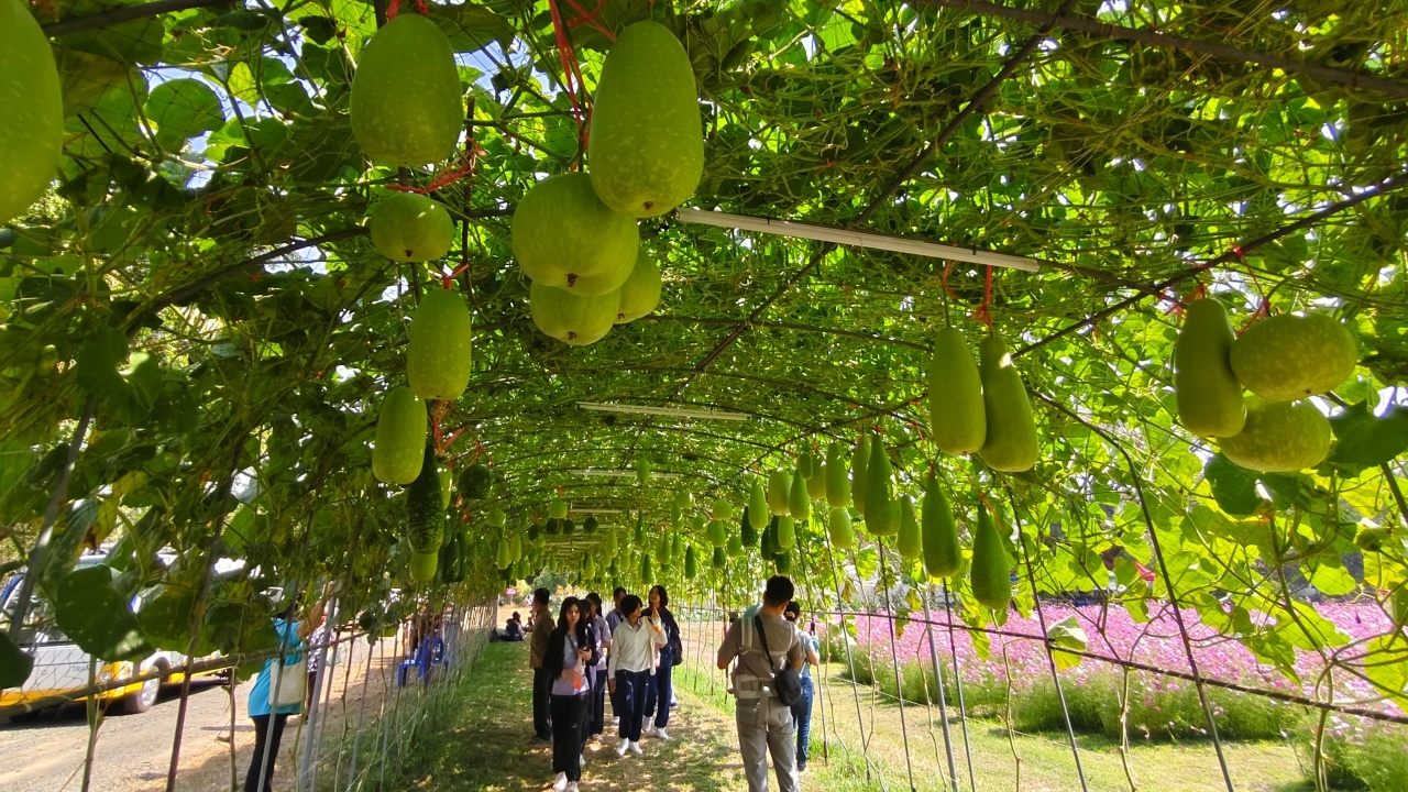 เริ่มแล้ว "งานเกษตรอีสานใต้ประจำปี 2569" ส่งเสริมการพัฒนาคุณภาพชีวิตของชุมชน