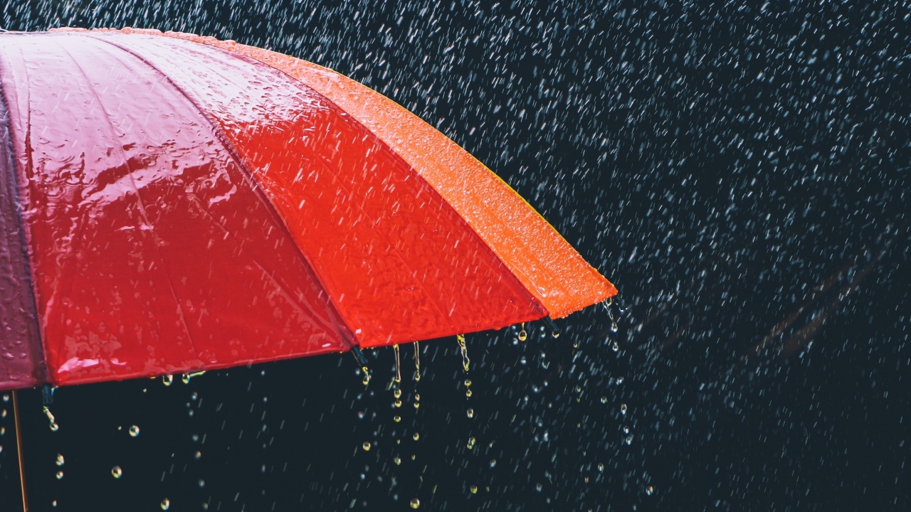 เลือกตั้ง 8 ก.พ. 69 อย่าลืมพกร่ม หลายจังหวัดเจอ "ฝนตก" เช็กเลยที่ไหนบ้าง