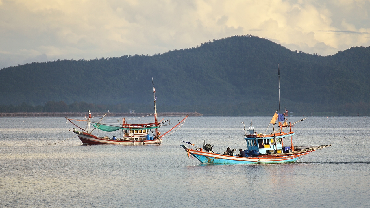 "กรมประมง" ประกาศ "ปิดอ่าวไทยตอนกลางปี 2569" คุ้มครองพ่อแม่พันธุ์สัตว์น้ำ ฟื้นฟูระบบนิเวศ