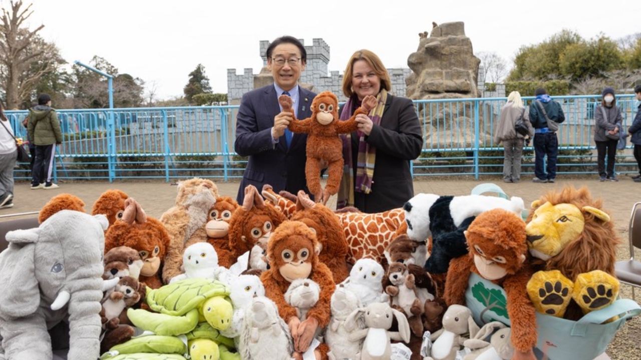  IKEA ญี่ปุ่น มอบตุ๊กตาอุรังอุตัง “แม่ของพันซ์คุง” ให้สวนสัตว์อิชิกาวะ