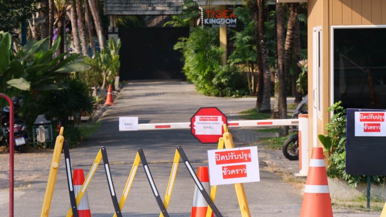 "ปศุสัตว์เขต 5" ชี้แจงผลชันสูตร "เสือ" ตาย 72 ตัว ย้ำไม่ติดต่อสู่คน