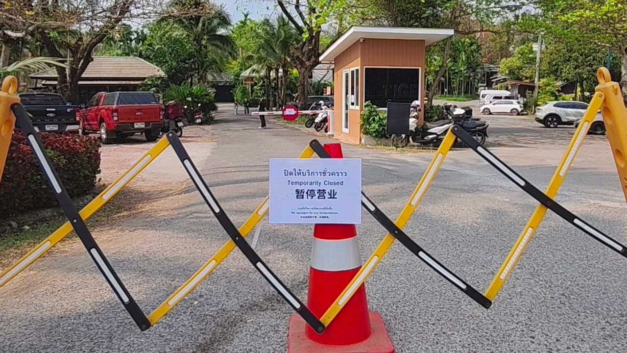 เปิดไทม์ไลน์ "เสือโคร่ง" ตาย 72 ตัว "กรมปศุสัตว์" เผยสาเหตุมาจาก "ไข้หัดแมว"