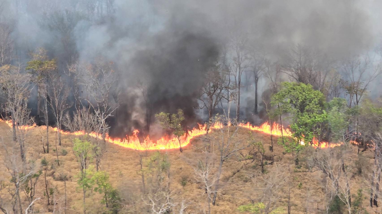 รัฐบาลสั่งด่วน ส่งอากาศยานทิ้งน้ำ 10 เที่ยว คุมเพลิงสะแกราช