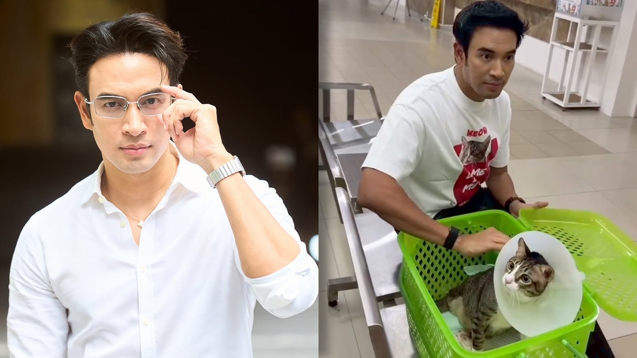เกรท วรินทร โพสต์แจ้งข่าวน้องแมวไข่ตุ๋นแอดมิด ด้านเจ้าตัวรับเศร้าพยายามเข้มแข็ง