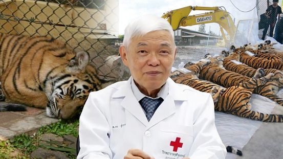 ปริศนา เสือตาย จับตาโรคอุบัติซ้ำ