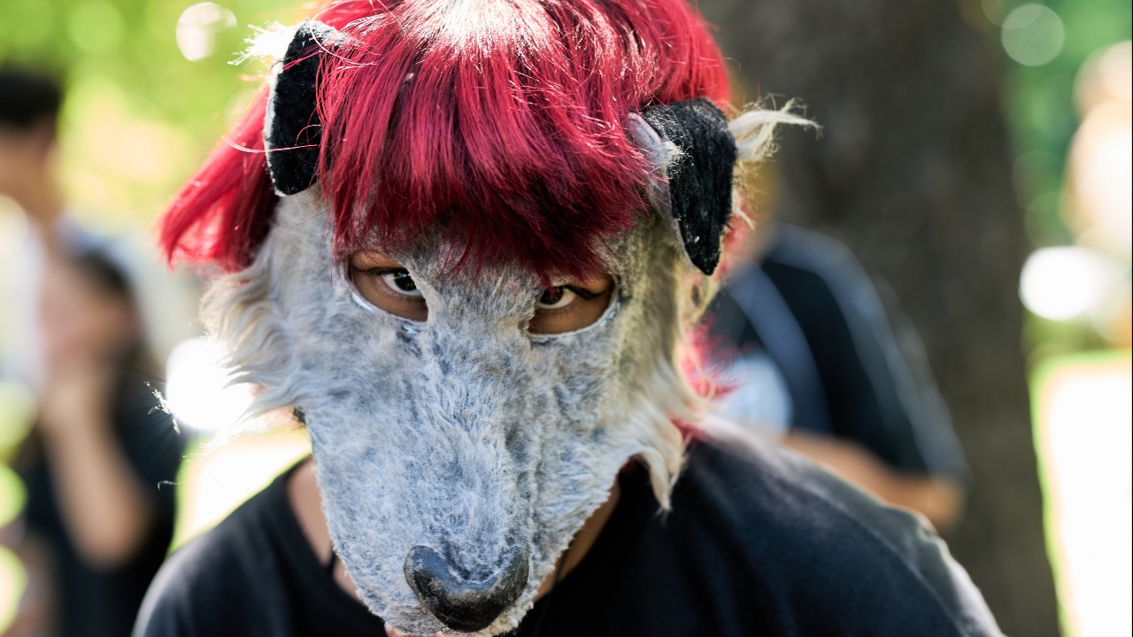 เทรนด์ประหลาด บุกอาร์เจนตินา! วัยรุ่นวิ่งสี่ขา ปีนต้นไม้กลางเมือง ไวรัล TikTok ทะลุ 2 ล้านโพสต์