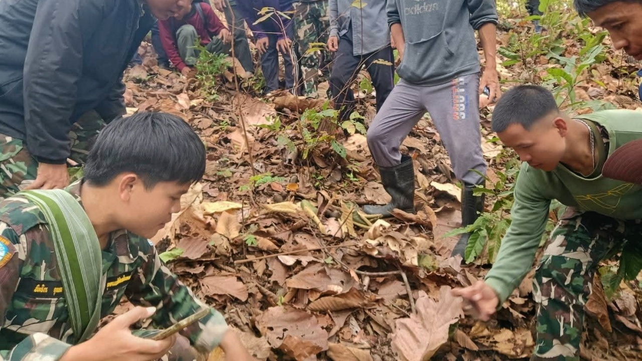 อุทยานฯ ดอยอินทนนท์ ออกมาตรการป้องกัน หลังพบร่องรอยคล้ายเสือ - ซากวัวถูกกัดคอ