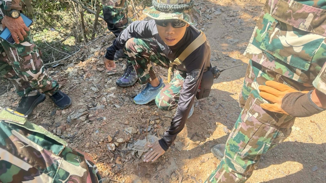 รอยเท้าคล้ายเสือโผล่อีก ในป่าเชียงใหม่ กล้องดักถ่ายสัตว์ เจอแต่ "หมาใน" นักล่า