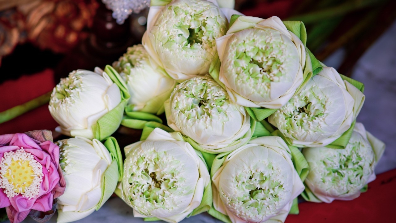 วันธงชัยเดือนกุมภาพันธ์ 2569 เช็กวันฤกษ์ดี เสริมมงคล เจริญรุ่งเรืองทุกด้าน