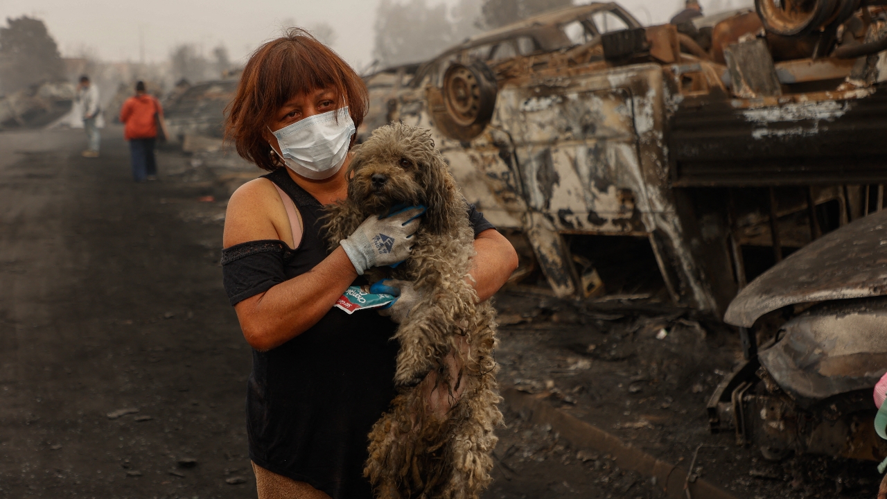 ตำรวจชิลีจับผู้ต้องสงสัยวางเพลิงไฟป่ามรณะ คร่า 21 ศพ เผาบ้านวอดนับร้อยหลัง