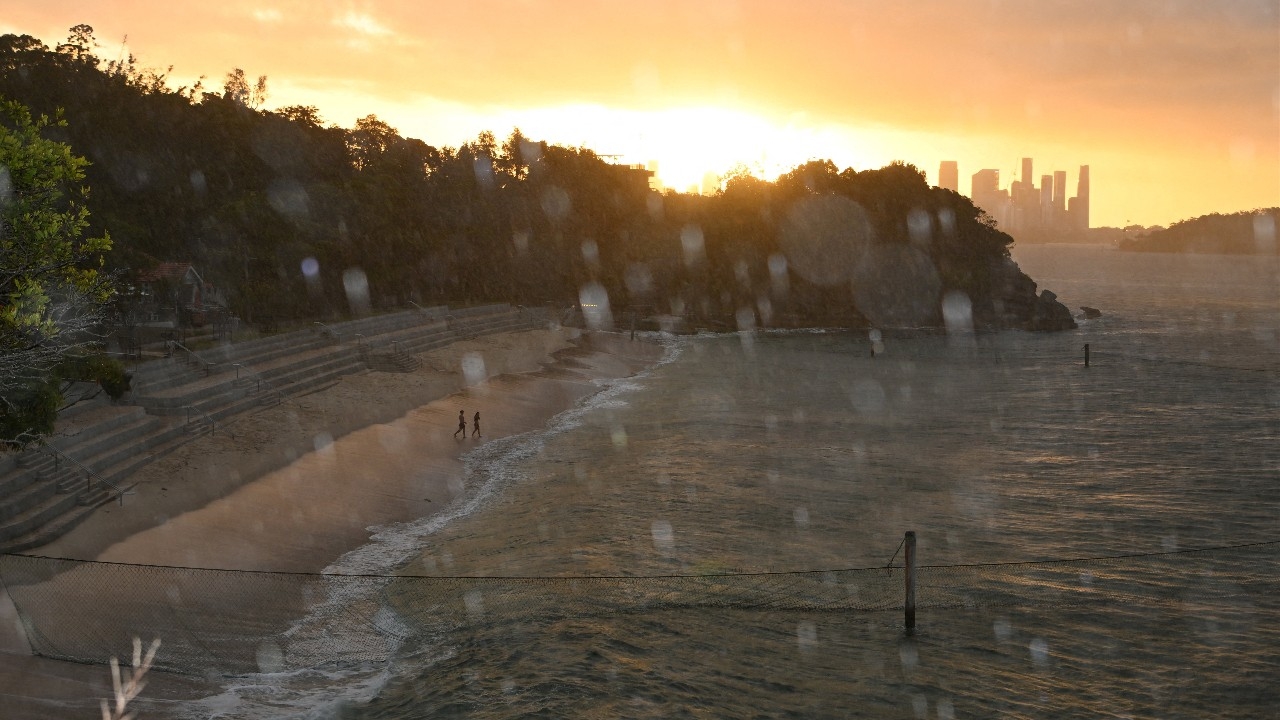  เด็กออสเตรเลียถูกฉลามกัดกลางอ่าวซิดนีย์ปางตาย หลังฝนตกหนักทำฉลามหลุดเข้าพื้นที่เมือง