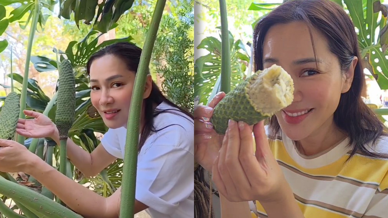 จอย รินลณี รีวิวรสชาติ กิน "ผลมอนสเตอร่า" อร่อยมาก แต่มีข้อที่ต้องระวัง