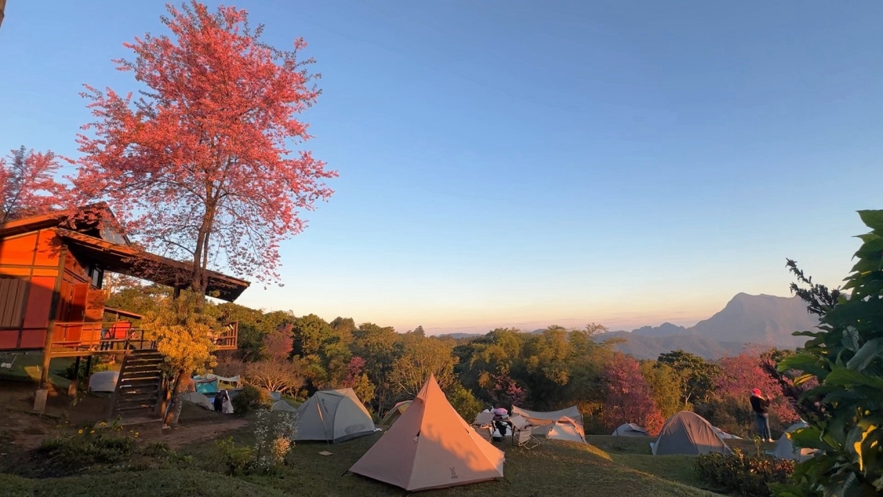 6-10 ม.ค. 69 มวลอากาศเย็นระลอกใหม่ ปกคลุมประเทศไทย ภาคใต้มีฝนเพิ่มขึ้น