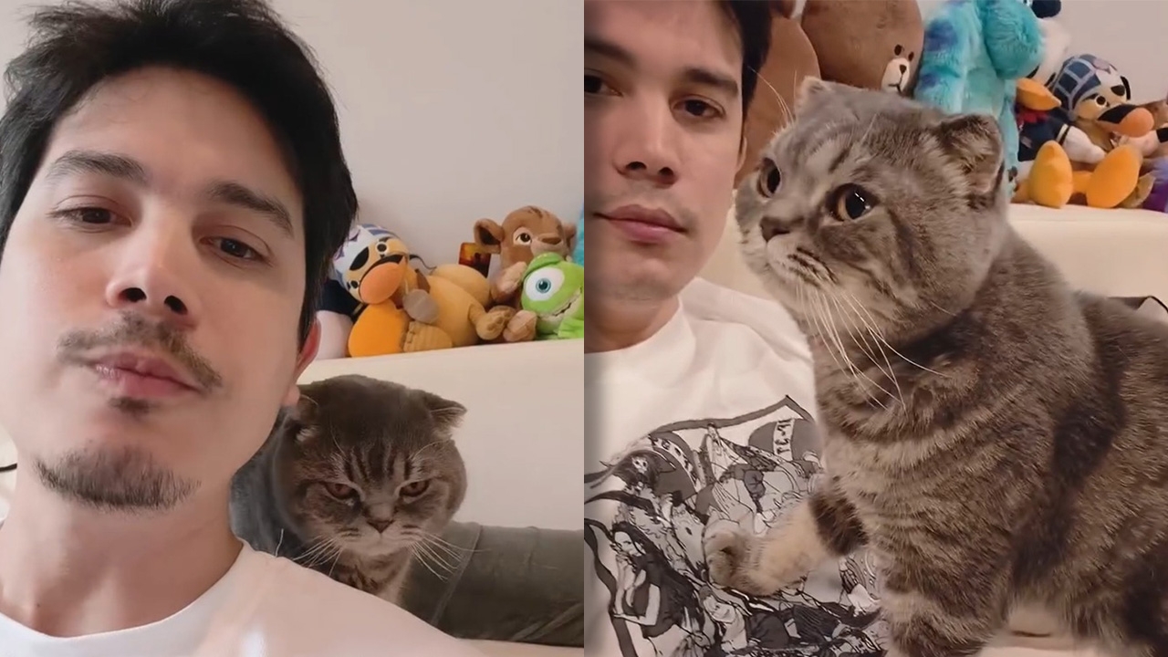 ซันนี่ สุวรรณเมธานนท์ เศร้าน้องแมวสุดรักกลับดาวแมว เผยภาพอบอุ่นพร้อมข้อความสุดซึ้ง