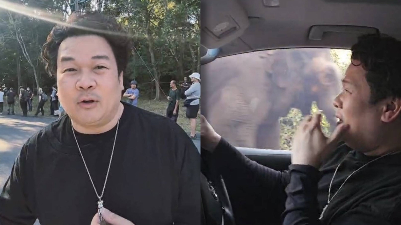 ใจหล่นวูบ วิน เวคิน เผชิญหน้าช้างป่าร้องลั่นรถสติหลุด ขับรถเกือบตกเขาใหญ่