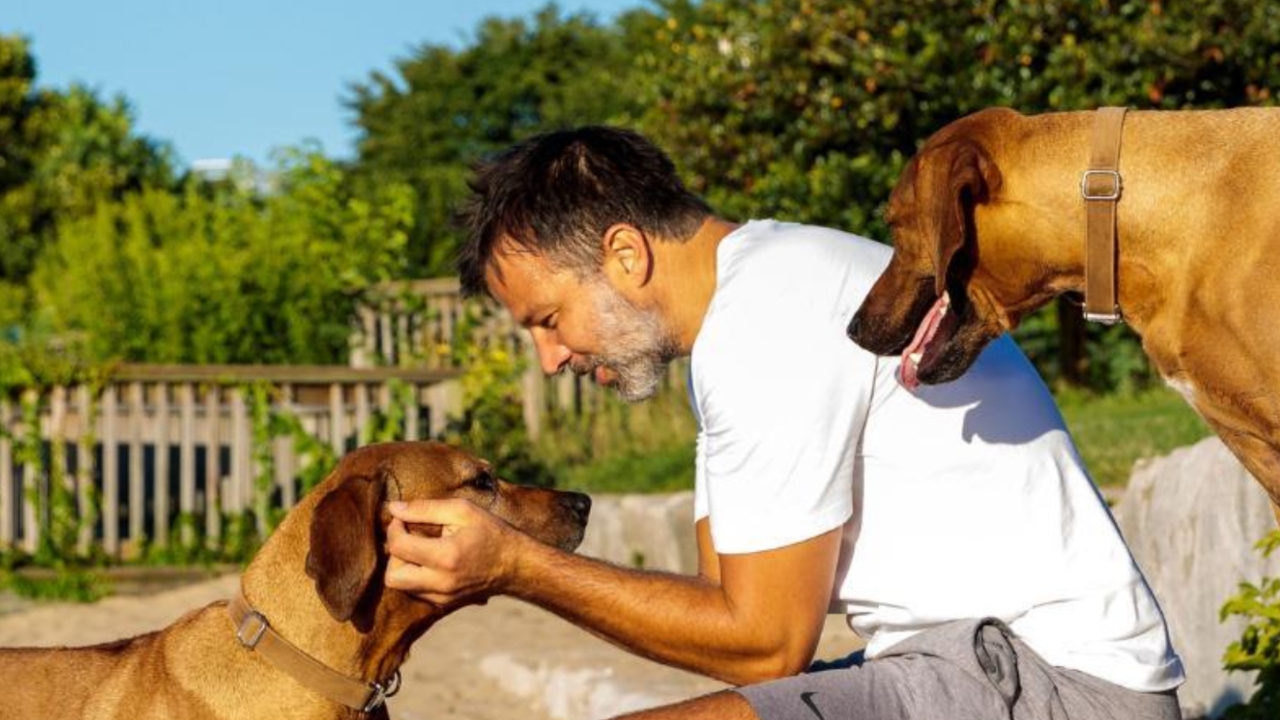 Exclusive: Listening Without Judgment - Anthony Hudsons World Beyond Football Includes His Beloved Dogs