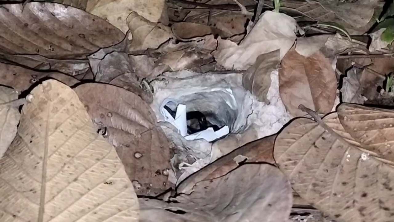 งวดที่แล้วได้โชค คอหวยมาทำพิธีเสี่ยงทาย "พญาบึ้ง" ขอเลขเด็ด 2/1/69 รับปีใหม่